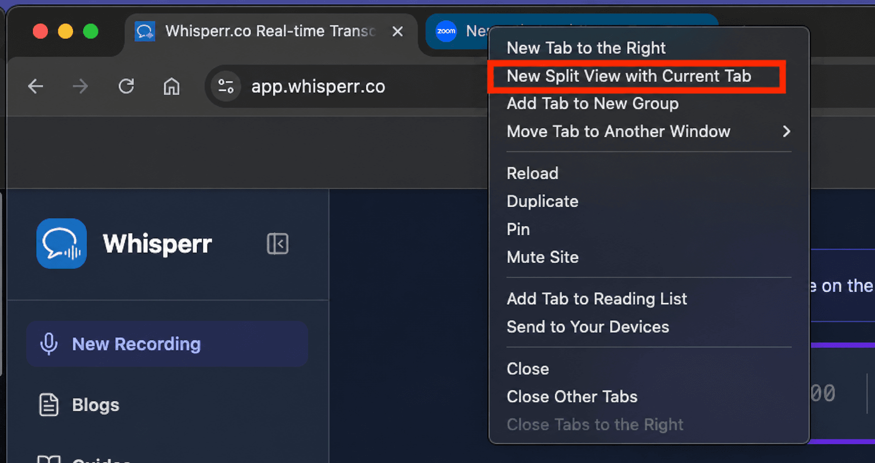 screen capture select split tab zoom web app.png